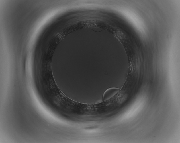 X0000112000383200908101327