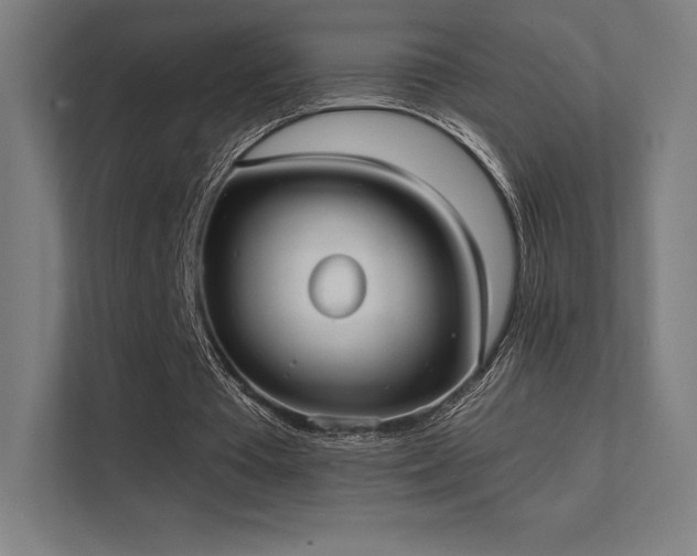 X0000112000385200908101326