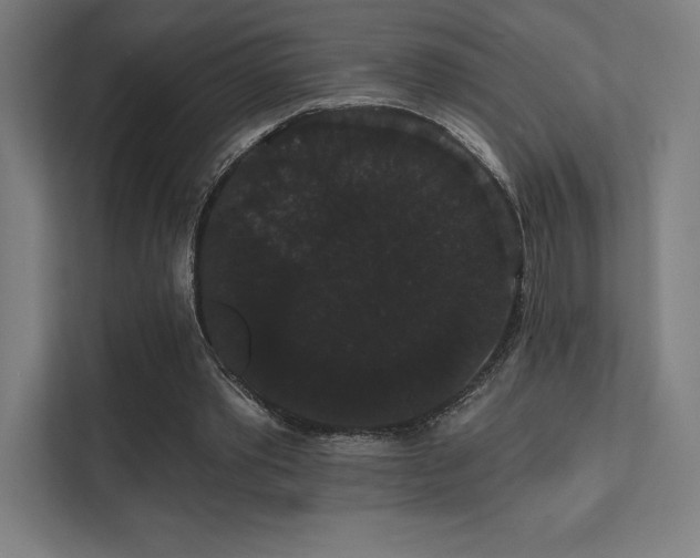 X0000112000389200908101326