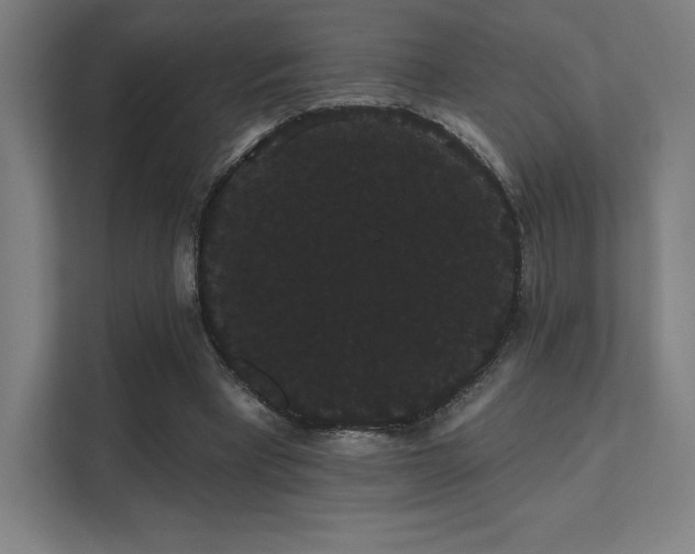 X0000112000393200908101326