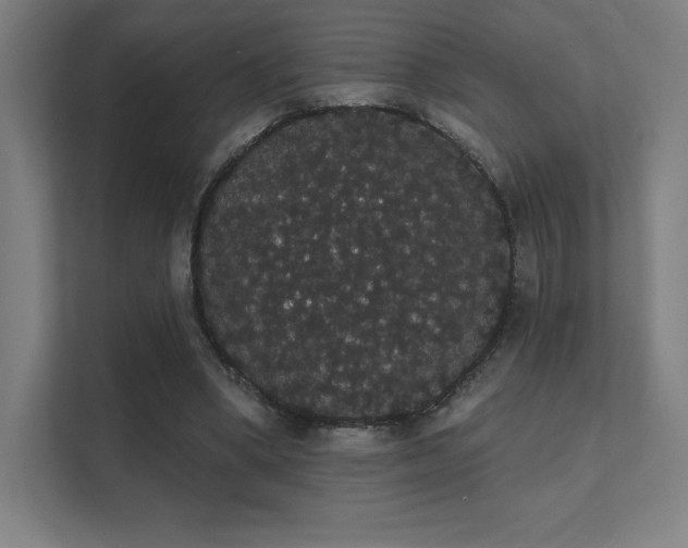 X0000112000394200908101326