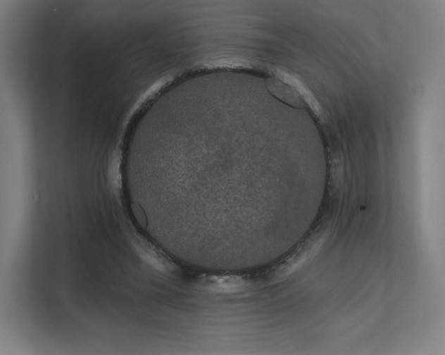 X0000112000395200908101326