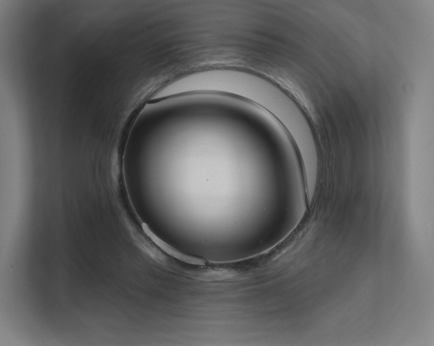 X0000112000397200908101326