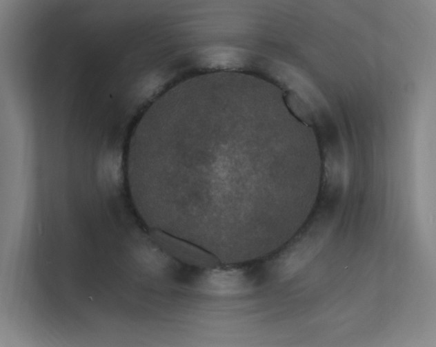 X0000112000403200908101326