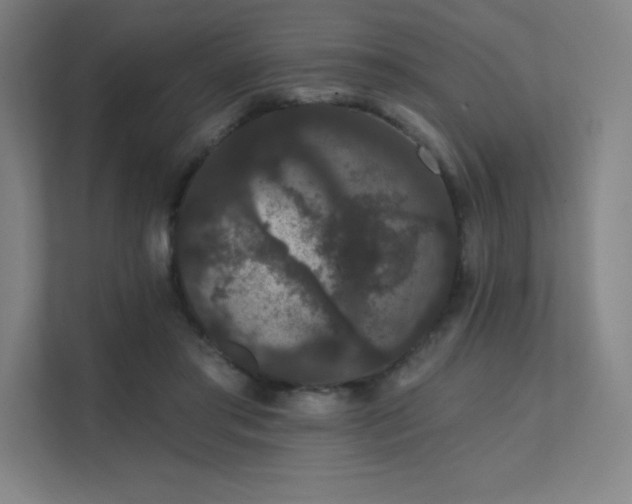 X0000112000405200908101326