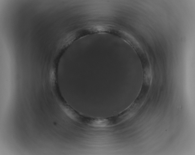 X0000112000410200908101326