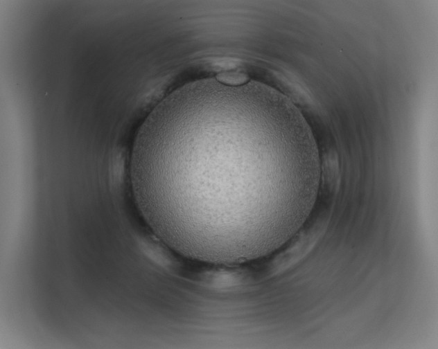 X0000112000412200908101326