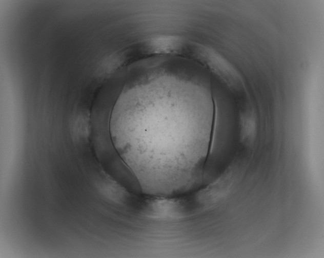 X0000112000413200908101326