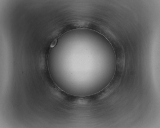 X0000112000416200908101326