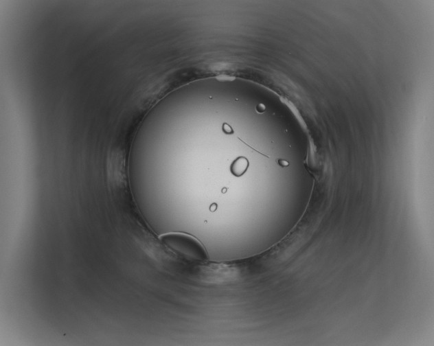 X0000112000421200908101326