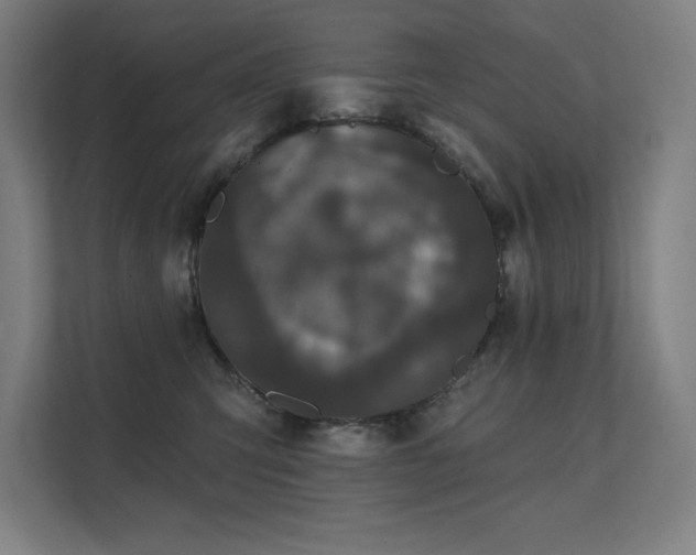 X0000112000423200908101326