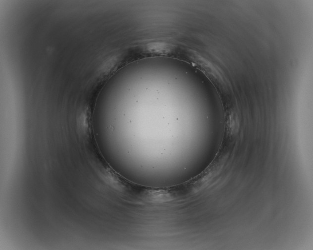 X0000112000424200908101326