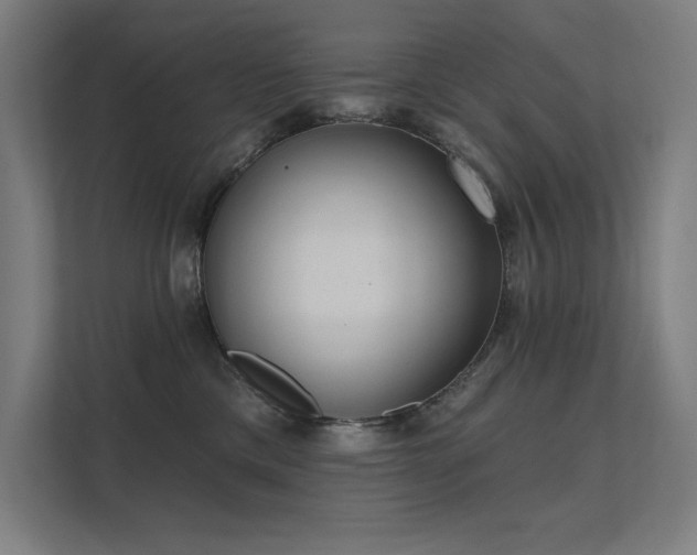 X0000112000425200908101326