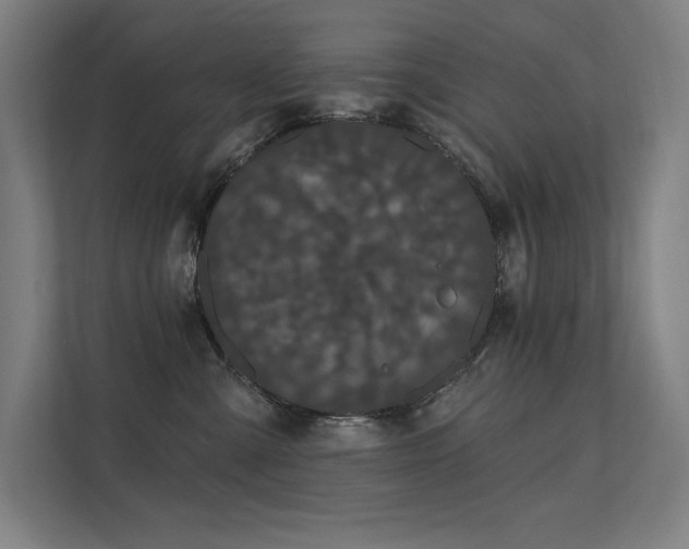 X0000112000427200908101326