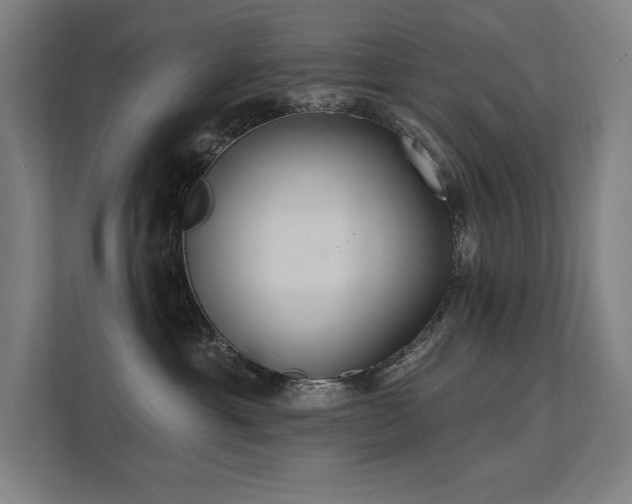 X0000112000429200908101326