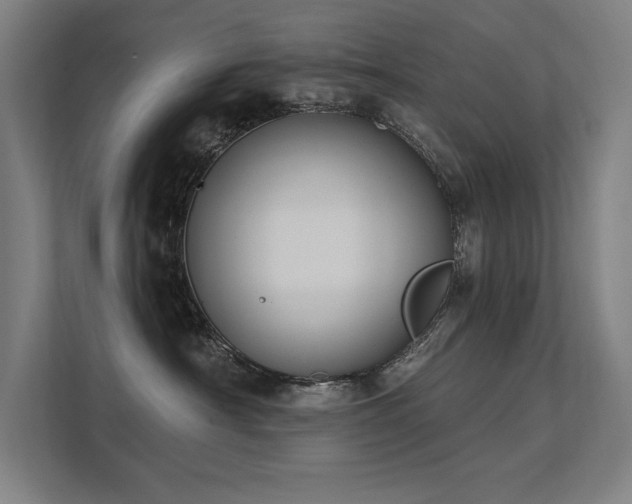 X0000112000430200908101326