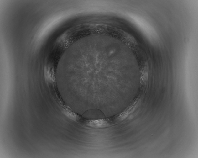 X0000112000431200908101326