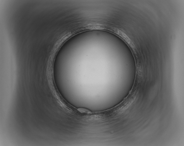 X0000112000433200908101325