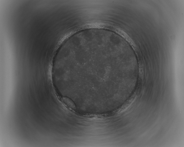 X0000112000434200908101325