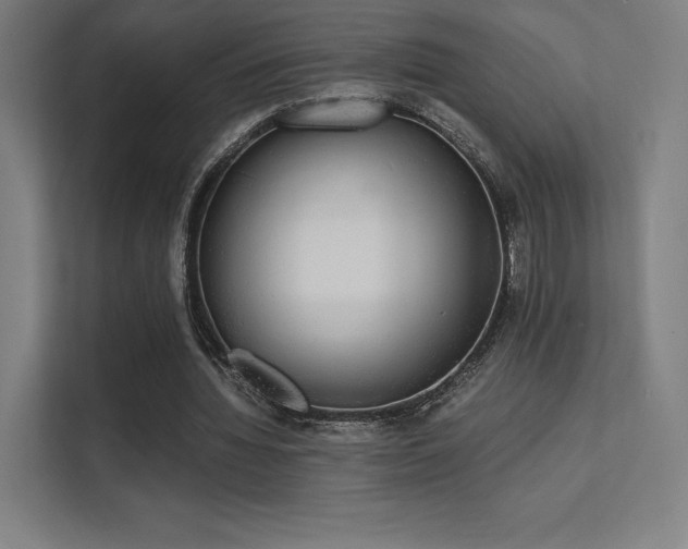 X0000112000436200908101325