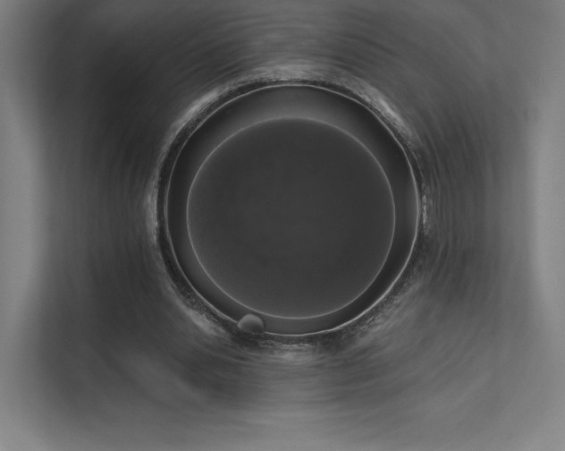 X0000112000438200908101325