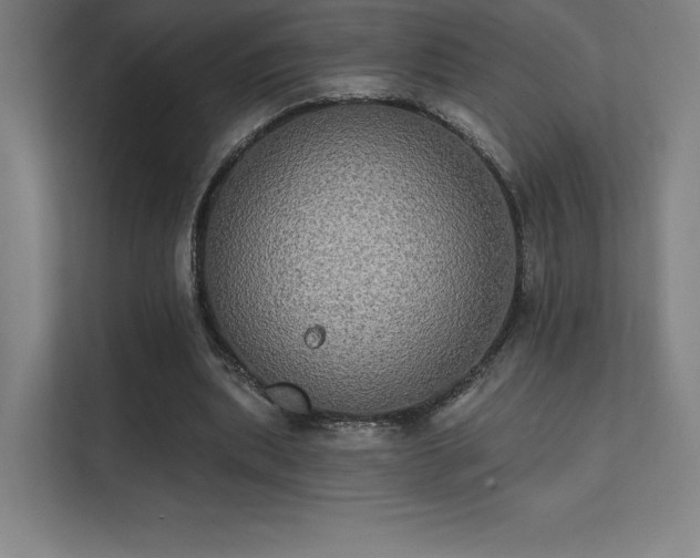 X0000112000439200908101325