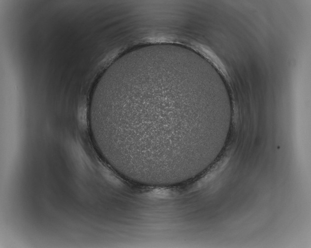 X0000112000441200908101325