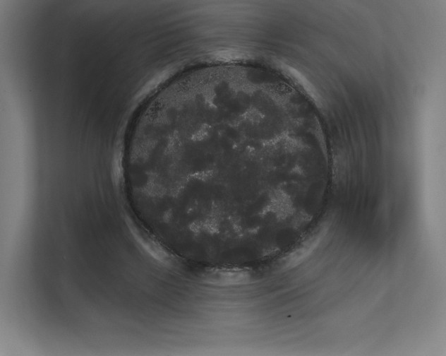 X0000112000443200908101325