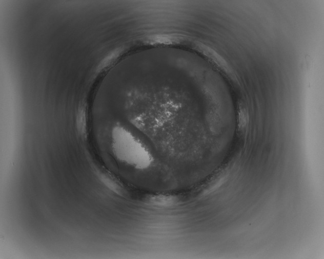 X0000112000444200908101325