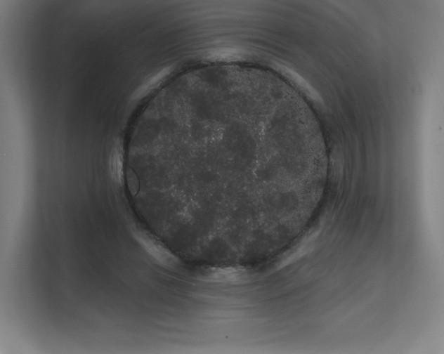 X0000112000446200908101325