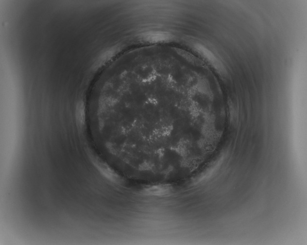 X0000112000447200908101325