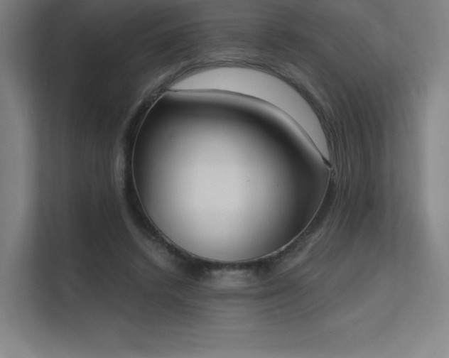 X0000112000448200908101325