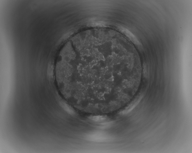 X0000112000449200908101325