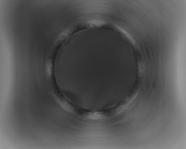 X0000112000451200908101325