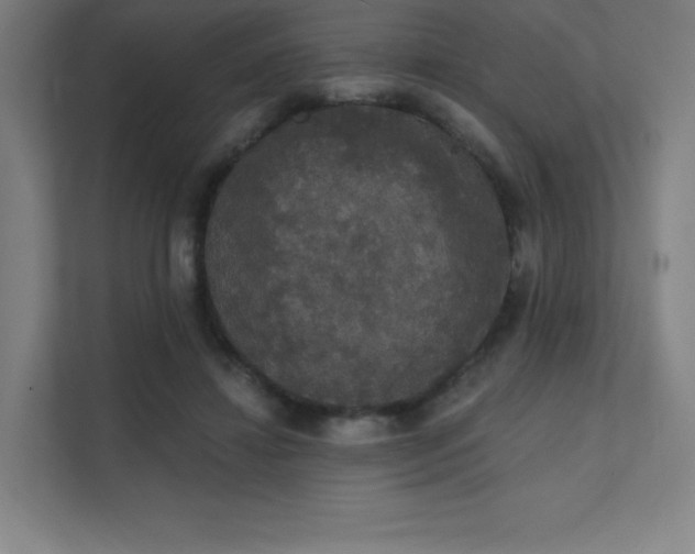 X0000112000452200908101325