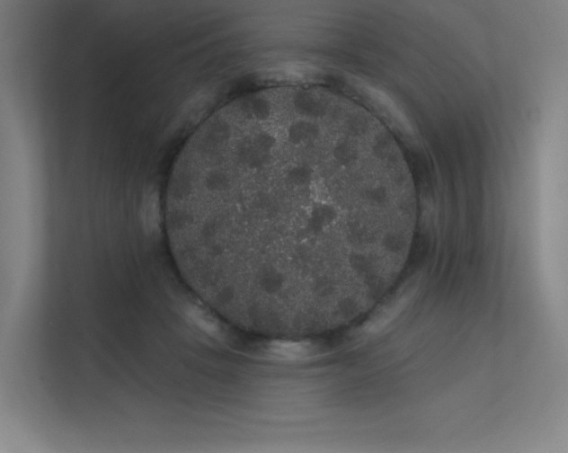 X0000112000457200908101325