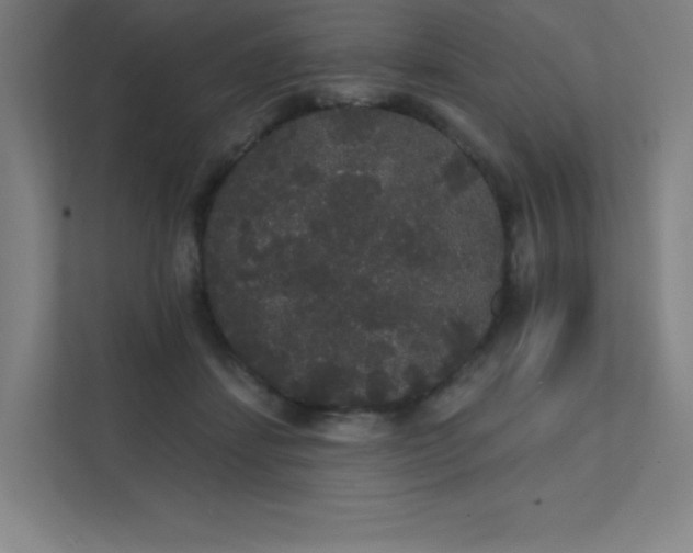 X0000112000459200908101325