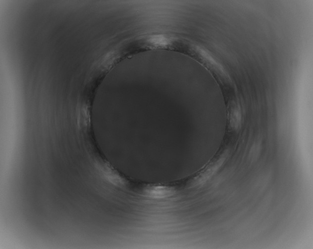 X0000112000467200908101325