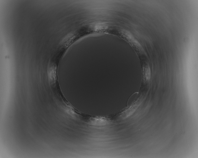 X0000112000475200908101325