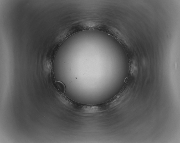 X0000112000476200908101325