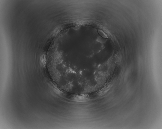 X0000112000479200908101326