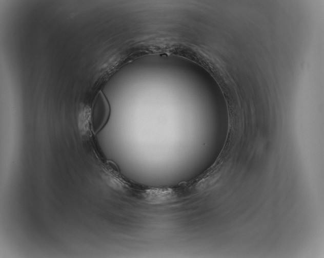 X0000112000480200908101326