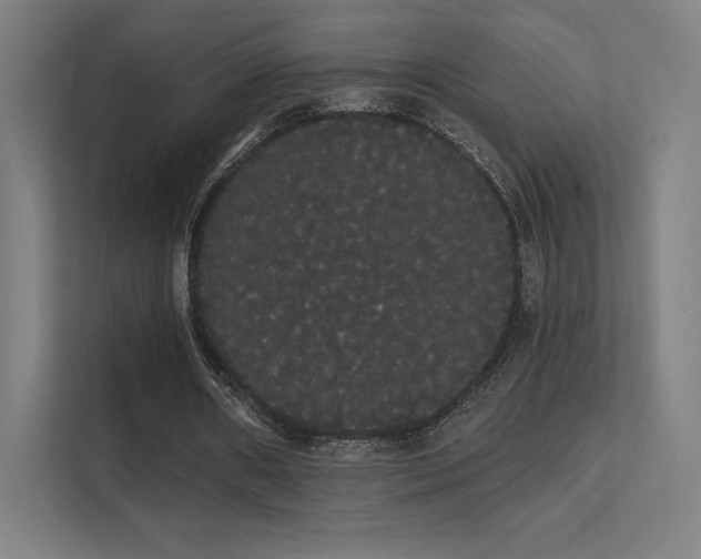 X0000112000482200908101325