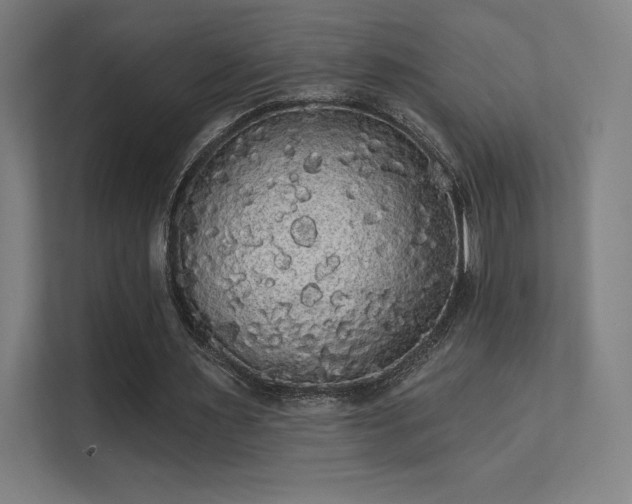 X0000112000483200908101325