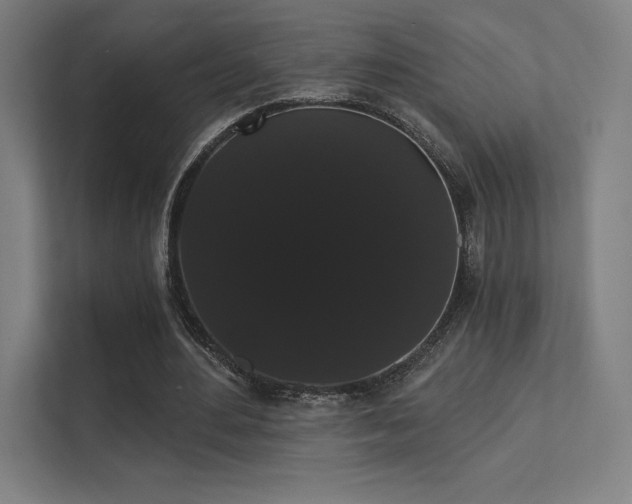 X0000112000484200908101325