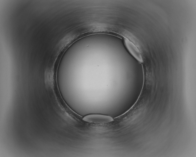 X0000112000485200908101325