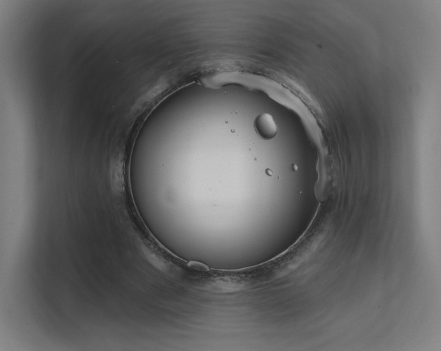 X0000112000489200908101325