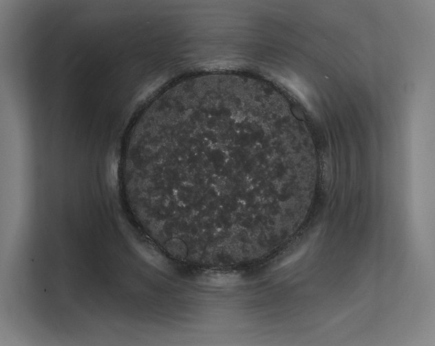 X0000112000491200908101325