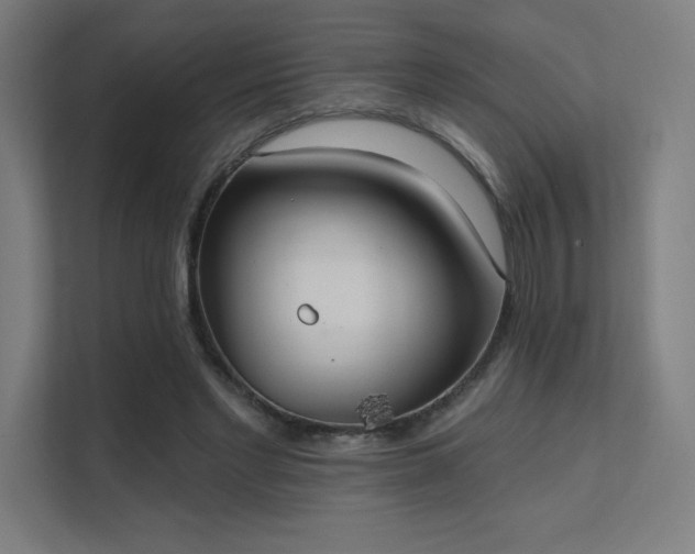 X0000112000493200908101325