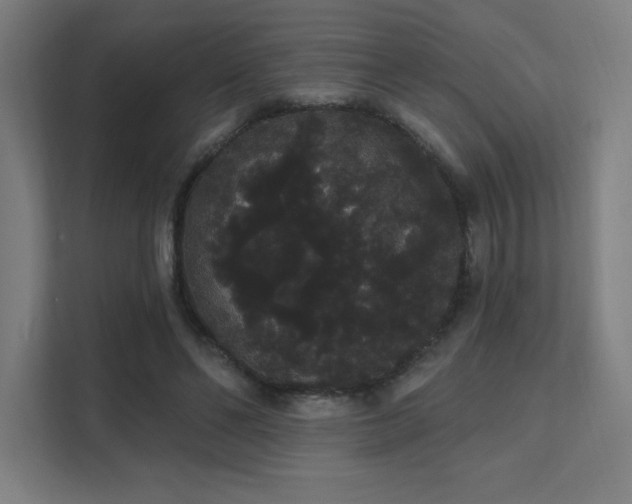 X0000112000494200908101325